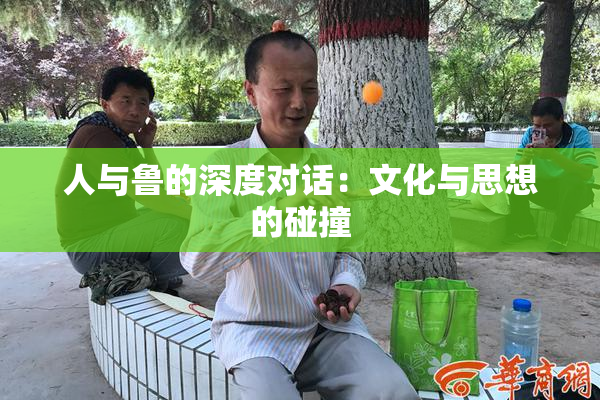 人与鲁的深度对话：文化与思想的碰撞