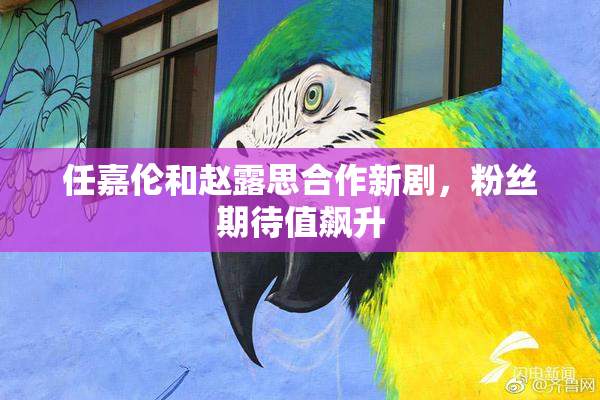 任嘉伦和赵露思合作新剧，粉丝期待值飙升