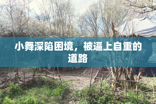 小舞深陷困境，被逼上自重的道路