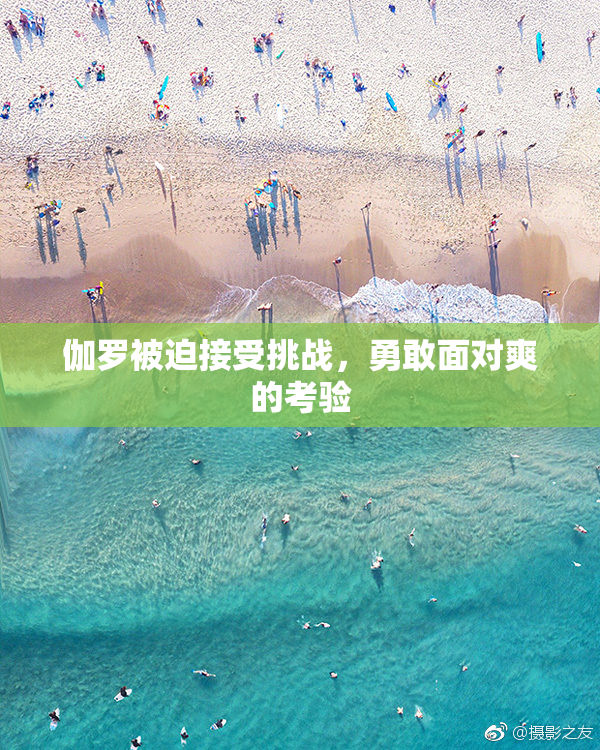 伽罗被迫接受挑战，勇敢面对爽的考验