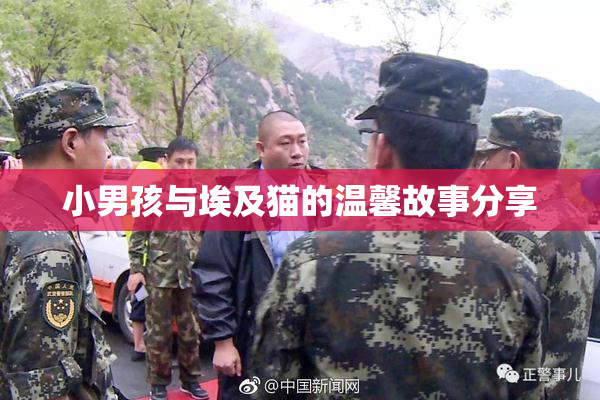 小男孩与埃及猫的温馨故事分享