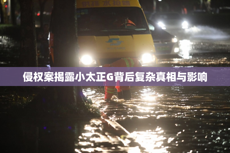 侵权案揭露小太正G背后复杂真相与影响