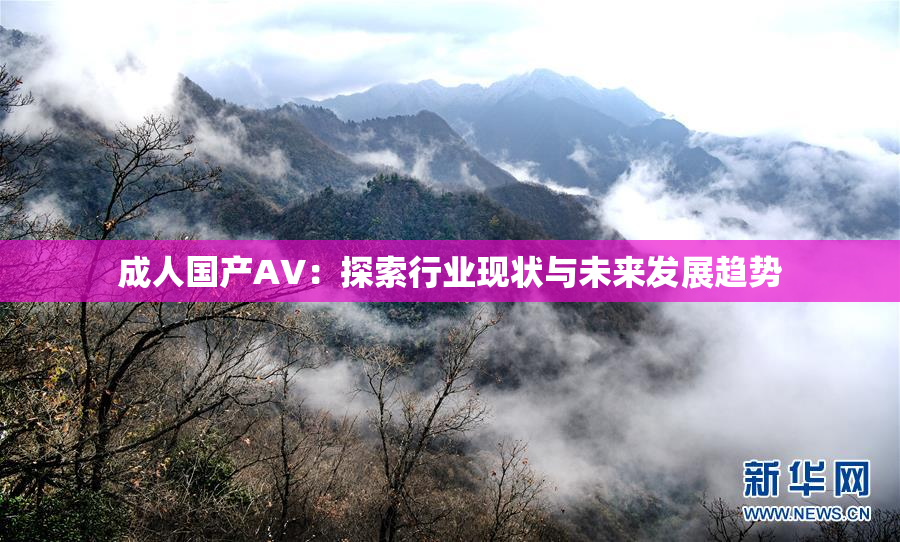 成人国产AV：探索行业现状与未来发展趋势