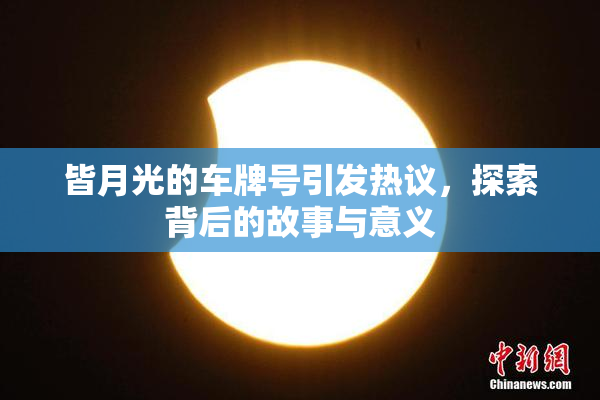 皆月光的车牌号引发热议，探索背后的故事与意义