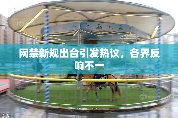 网禁新规出台引发热议，各界反响不一