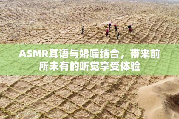 ASMR耳语与娇喘结合，带来前所未有的听觉享受体验