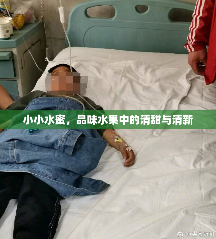 小小水蜜，品味水果中的清甜与清新