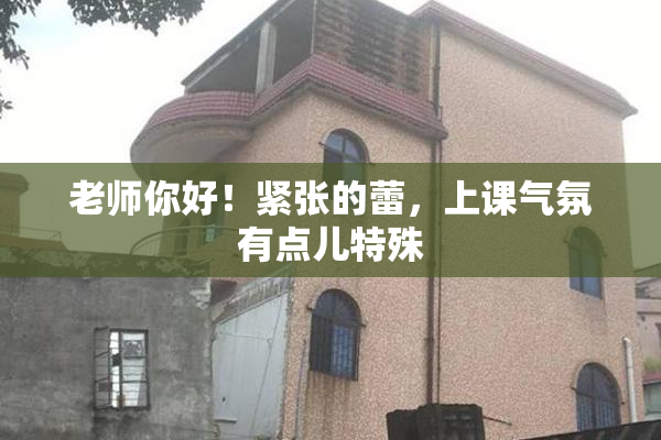 老师你好！紧张的蕾，上课气氛有点儿特殊