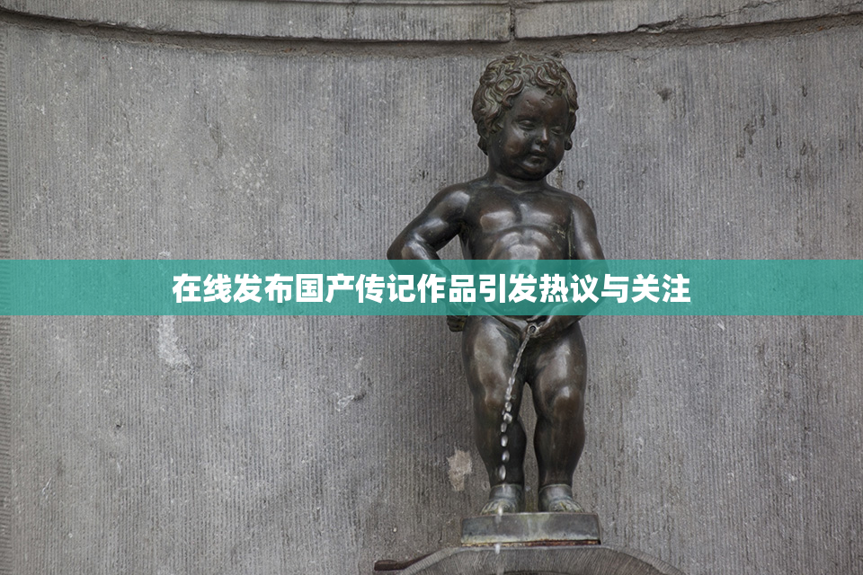 在线发布国产传记作品引发热议与关注