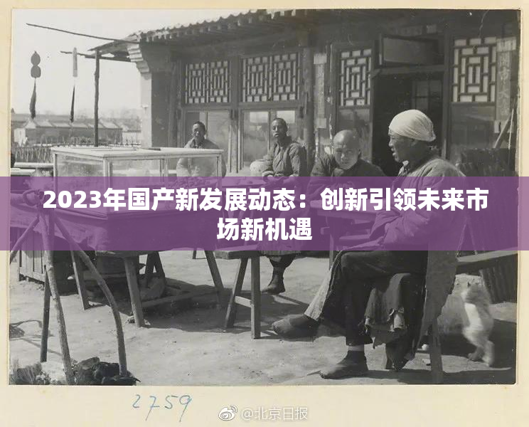 2023年国产新发展动态：创新引领未来市场新机遇