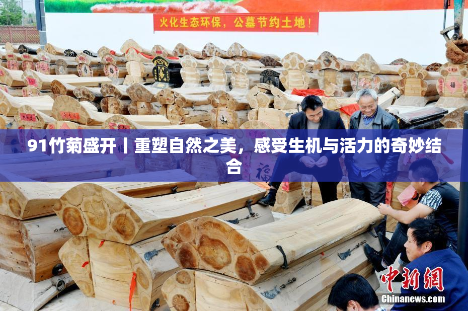 91竹菊盛开丨重塑自然之美，感受生机与活力的奇妙结合