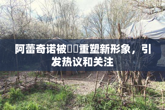 阿蕾奇诺被❌‌重塑新形象，引发热议和关注