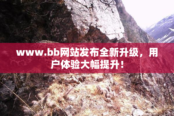 www.bb网站发布全新升级，用户体验大幅提升！