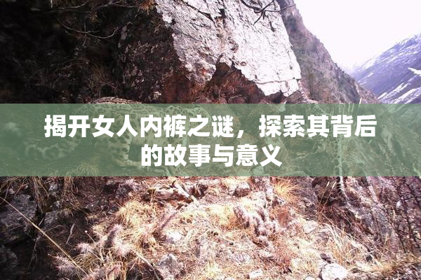 揭开女人内裤之谜，探索其背后的故事与意义