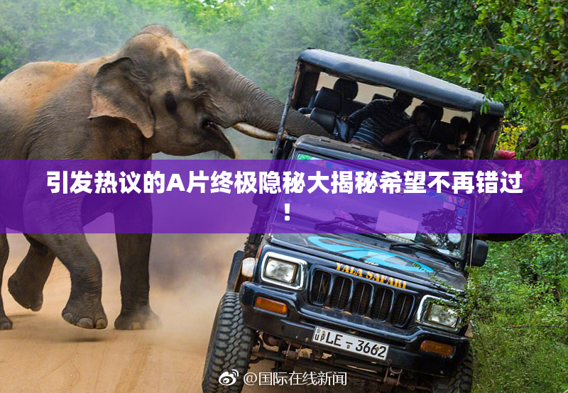 引发热议的A片终极隐秘大揭秘希望不再错过！