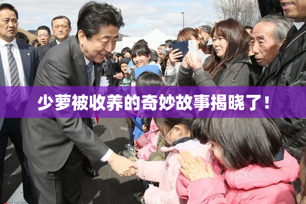 少萝被收养的奇妙故事揭晓了！