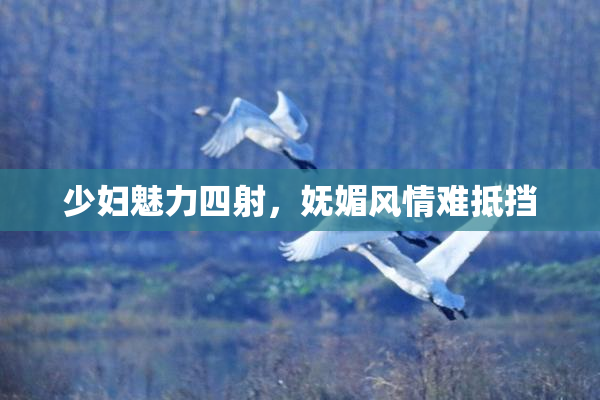 少妇魅力四射，妩媚风情难抵挡