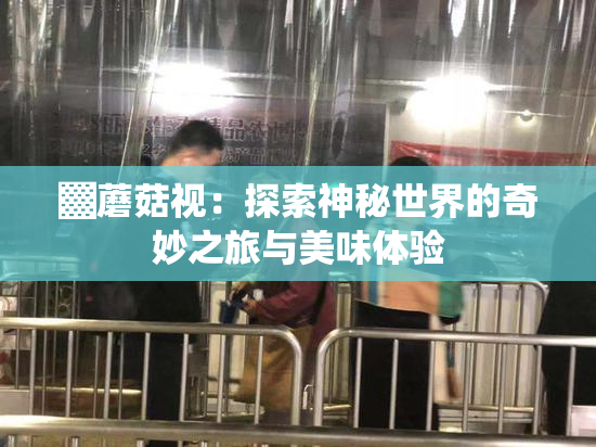▓蘑菇视：探索神秘世界的奇妙之旅与美味体验