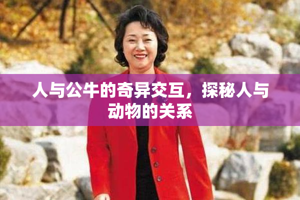 人与公牛的奇异交互，探秘人与动物的关系