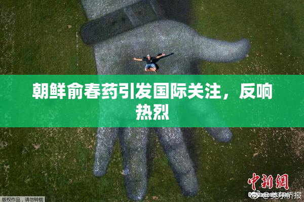 朝鲜俞春药引发国际关注，反响热烈