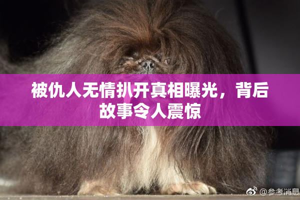 被仇人无情扒开真相曝光，背后故事令人震惊