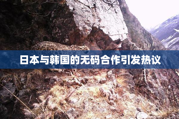 日本与韩国的无码合作引发热议
