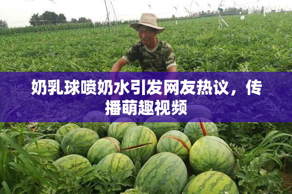 奶乳球喷奶水引发网友热议，传播萌趣视频