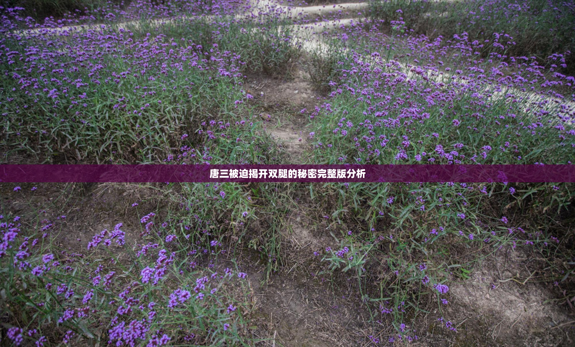 唐三被迫揭开双腿的秘密完整版分析