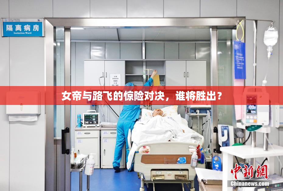 女帝与路飞的惊险对决，谁将胜出？
