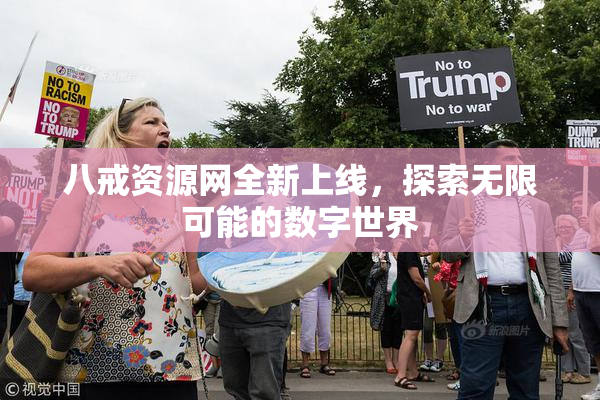 八戒资源网全新上线，探索无限可能的数字世界