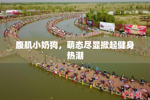 腹肌小奶狗，萌态尽显掀起健身热潮