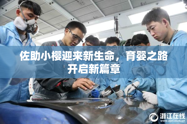 佐助小樱迎来新生命，育婴之路开启新篇章