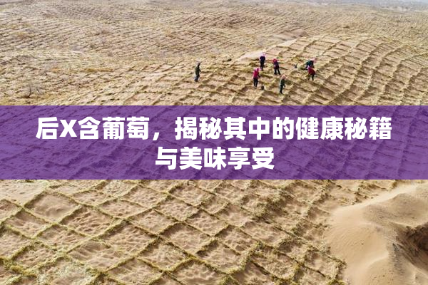 后X含葡萄，揭秘其中的健康秘籍与美味享受