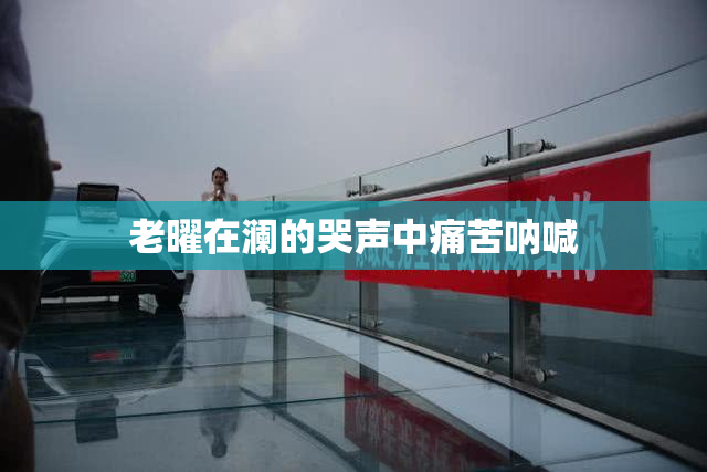 老曜在澜的哭声中痛苦呐喊