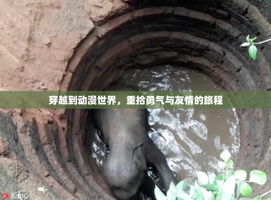 穿越到动漫世界，重拾勇气与友情的旅程