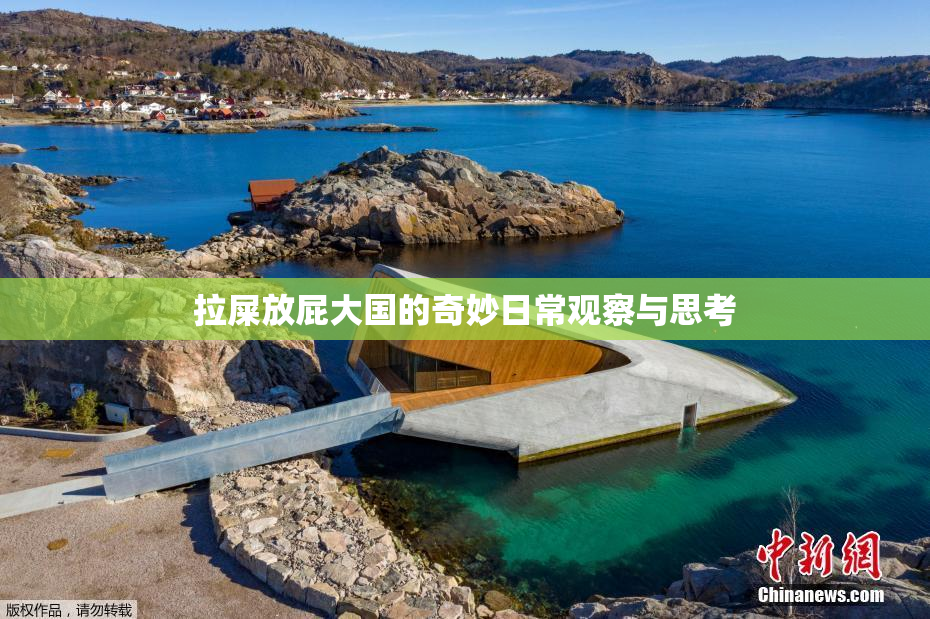 拉屎放屁大国的奇妙日常观察与思考