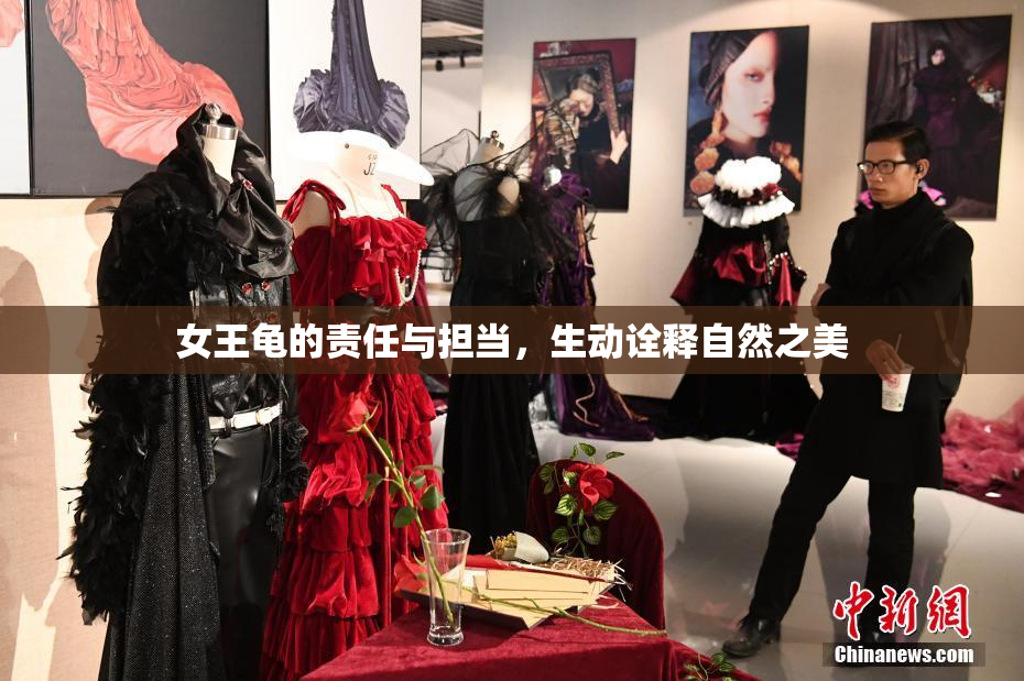 女王龟的责任与担当，生动诠释自然之美
