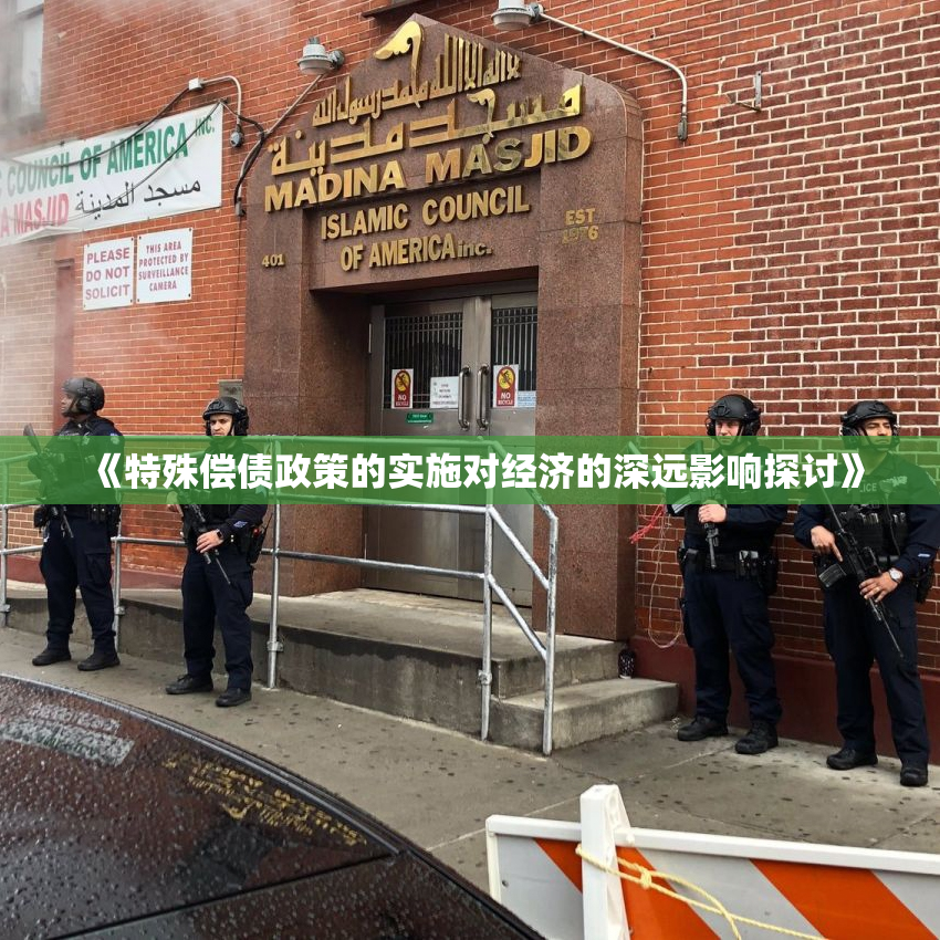 《特殊偿债政策的实施对经济的深远影响探讨》