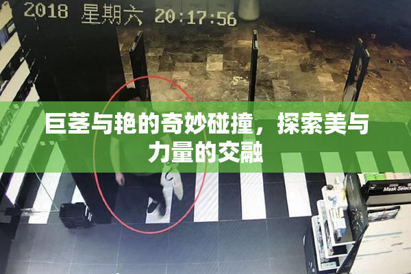 巨茎与艳的奇妙碰撞，探索美与力量的交融