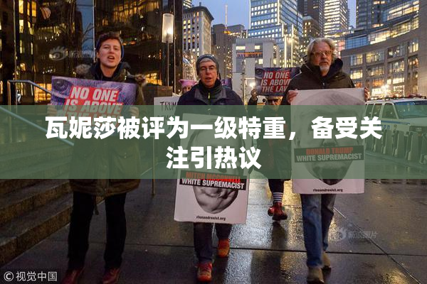 瓦妮莎被评为一级特重，备受关注引热议