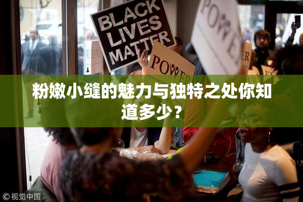 粉嫩小缝的魅力与独特之处你知道多少？