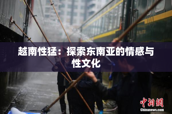 越南性猛：探索东南亚的情感与性文化