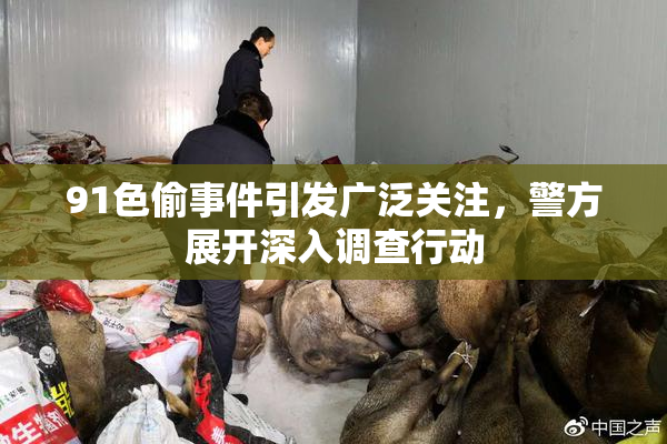 91色偷事件引发广泛关注，警方展开深入调查行动