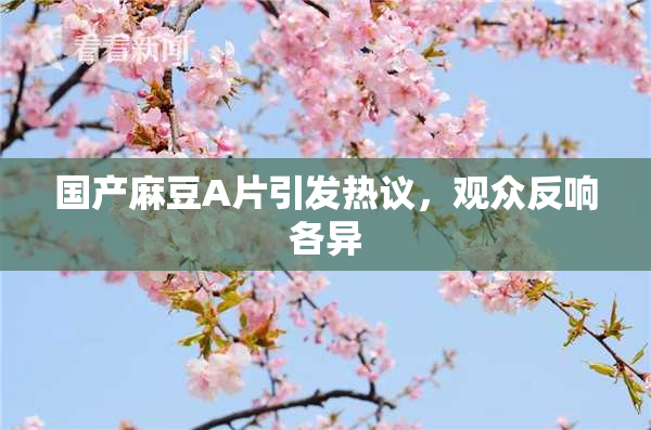 国产麻豆A片引发热议，观众反响各异