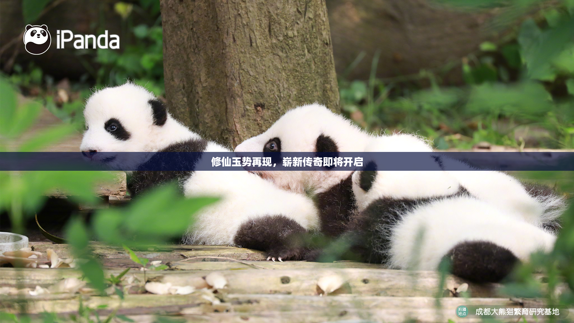修仙玉势再现，崭新传奇即将开启