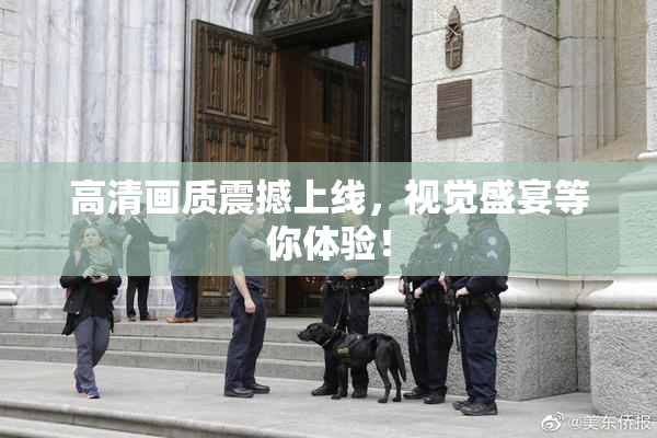 高清画质震撼上线，视觉盛宴等你体验！