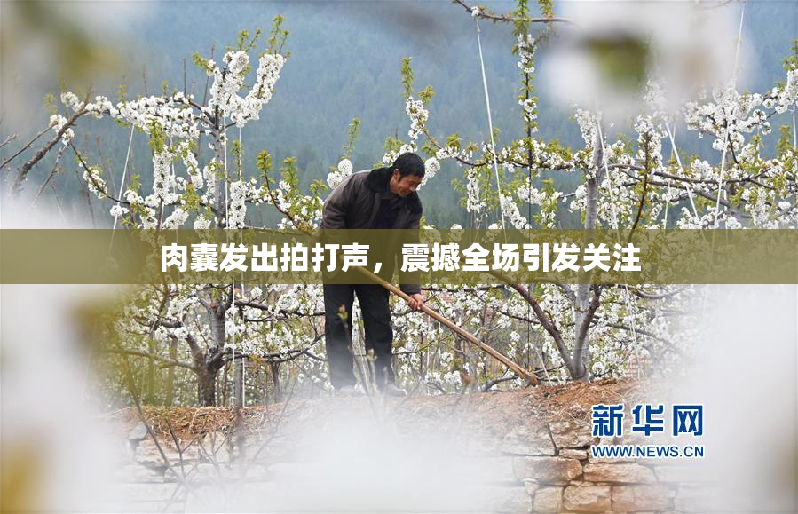 肉囊发出拍打声，震撼全场引发关注