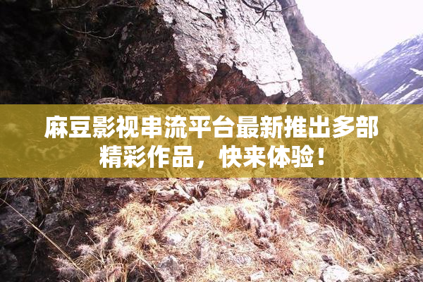 麻豆影视串流平台最新推出多部精彩作品，快来体验！