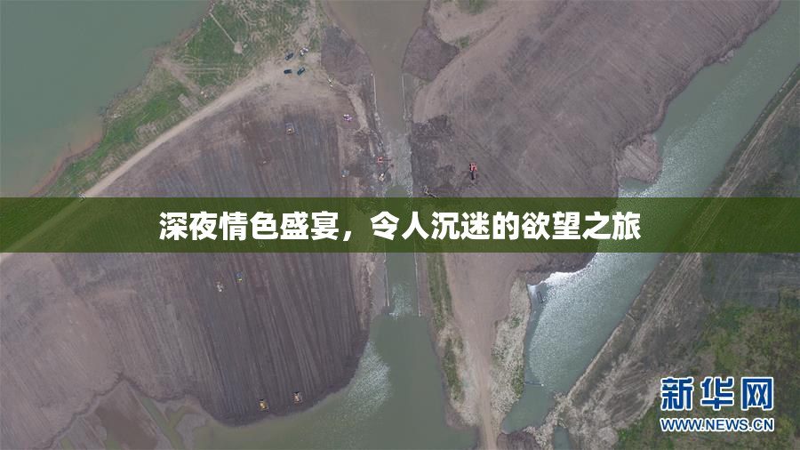 深夜情色盛宴，令人沉迷的欲望之旅