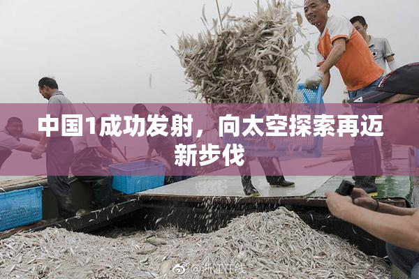 中国1成功发射，向太空探索再迈新步伐